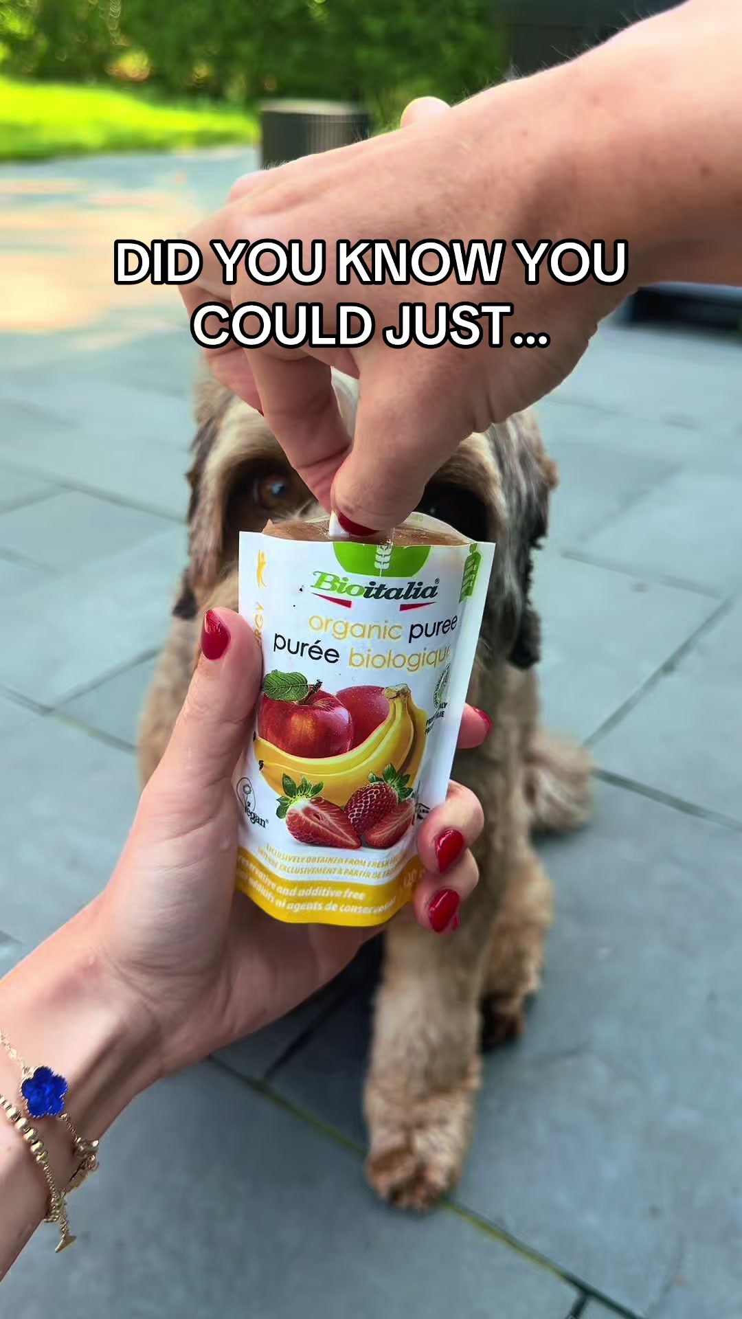 @Dogs Made Simple