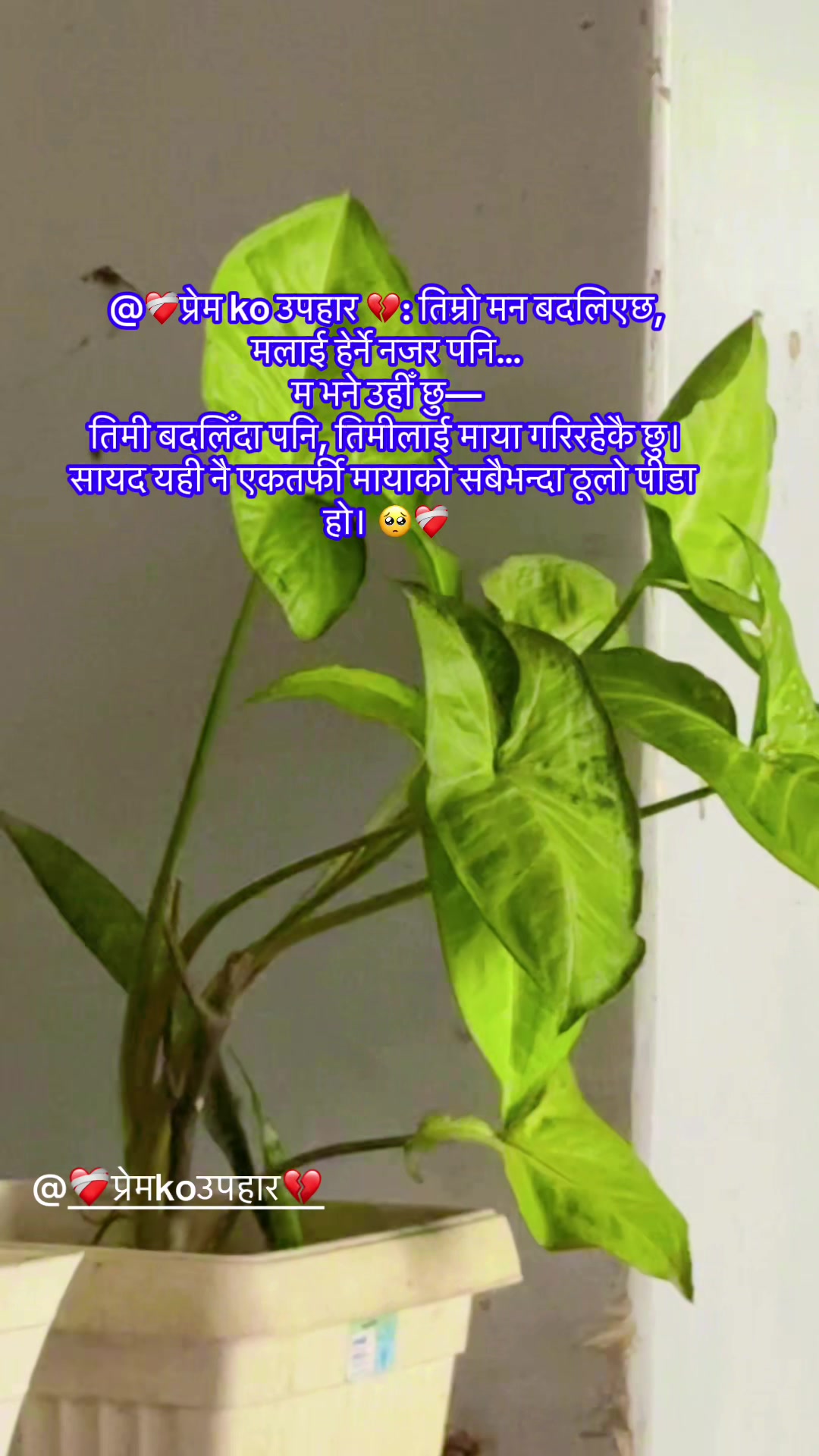 @नि:शब्द