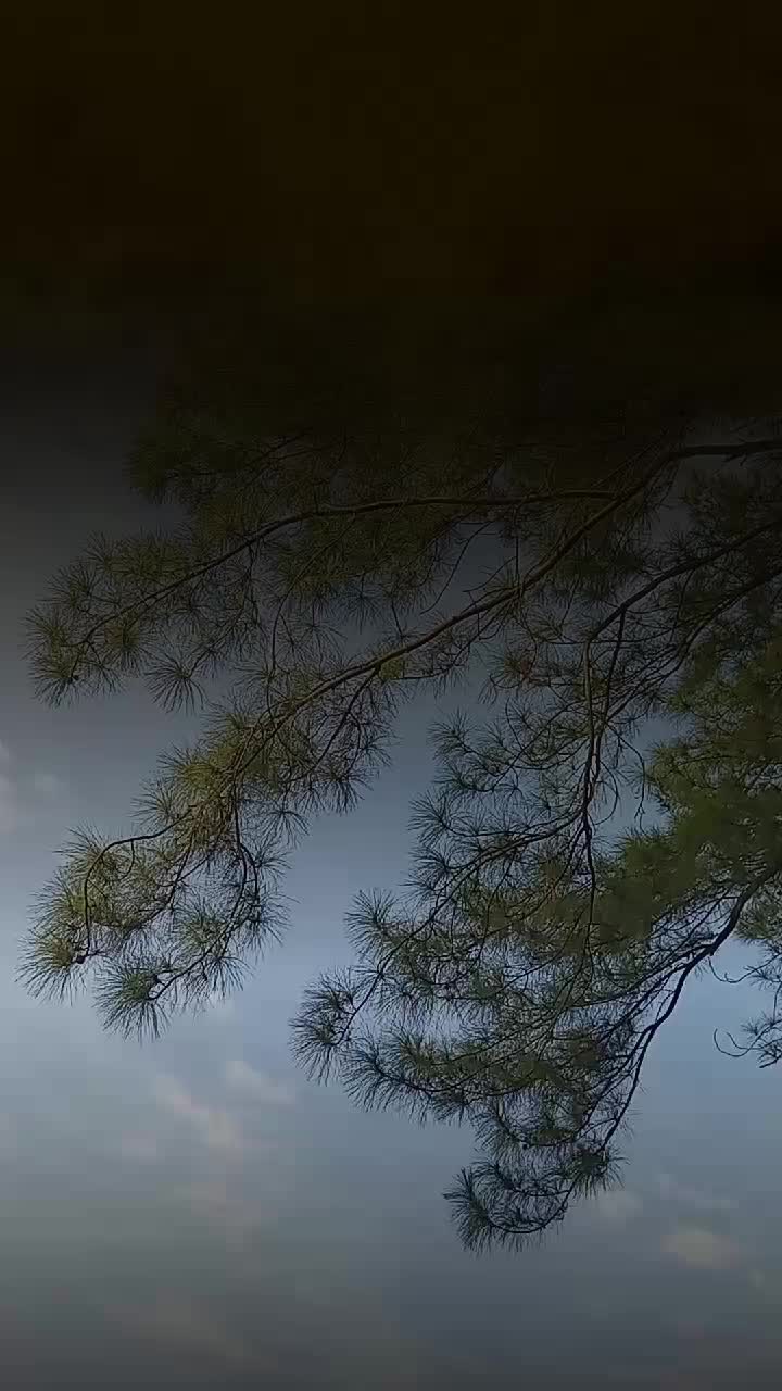 @ᴏʀᴀɴɢ_ᴋᴇᴛɪɢᴀ