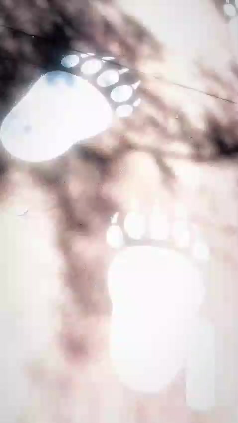 @Sec.Desarrollo.Humano.Tarija