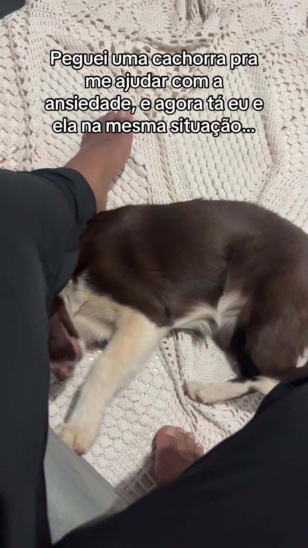 @pedroorzia_