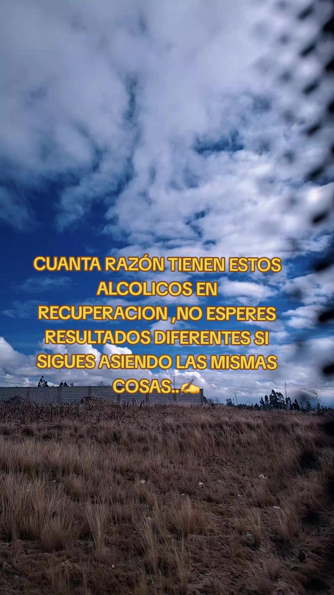 @Morillo54