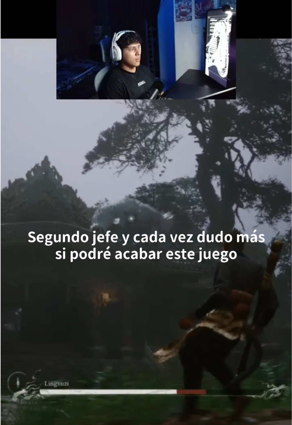 @bidmolina