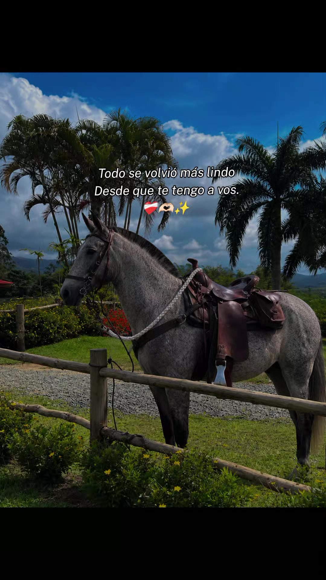 @DeTodoUnPoco😎