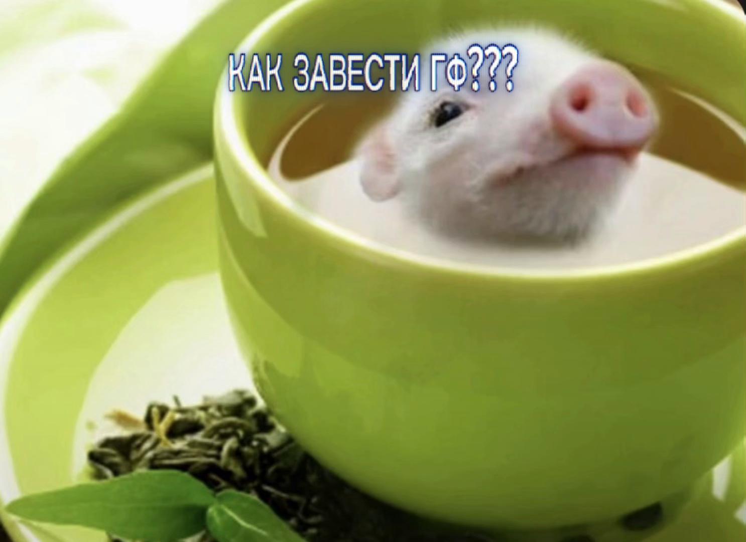 @кислятина🍧