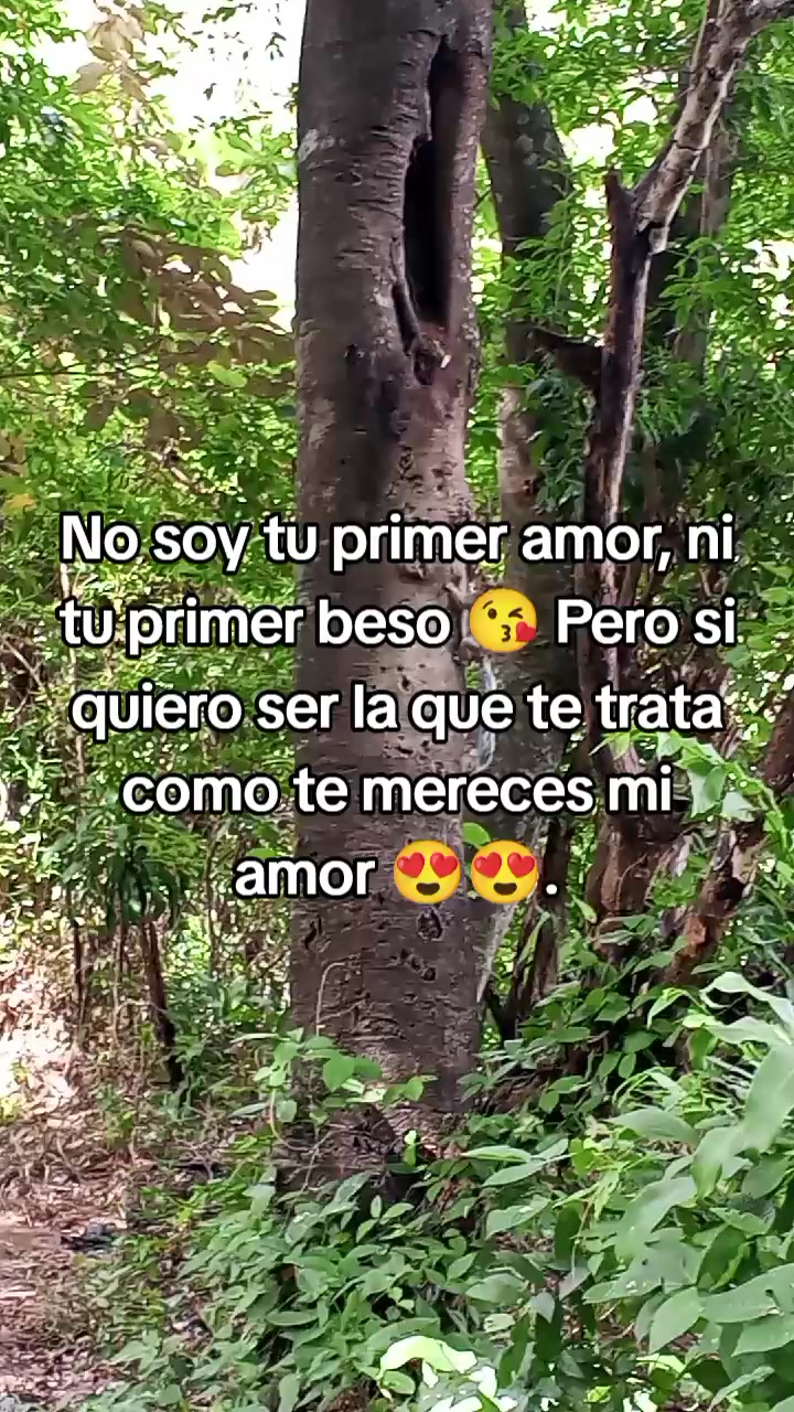 @lluvia 💫