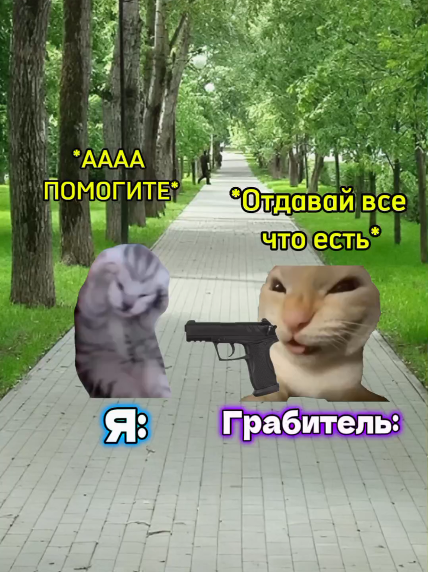 @MisterCat