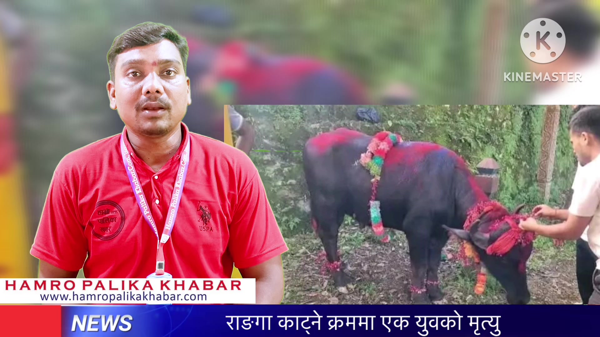 @हाम्रो पालिका खवर TV