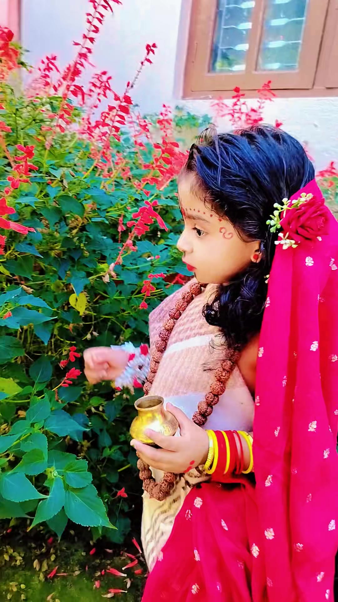 @Sapana Gupta
