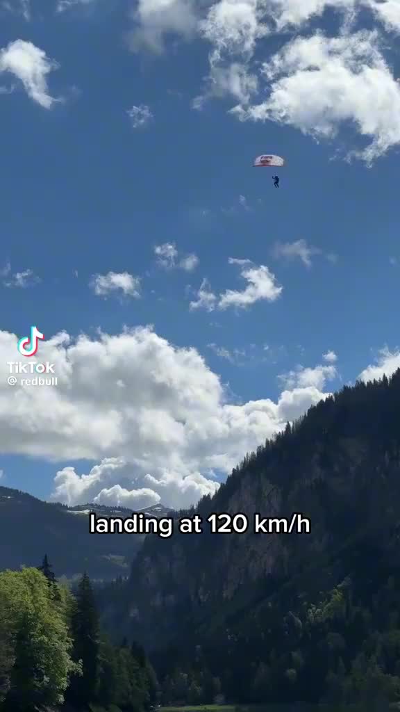 @wolf
