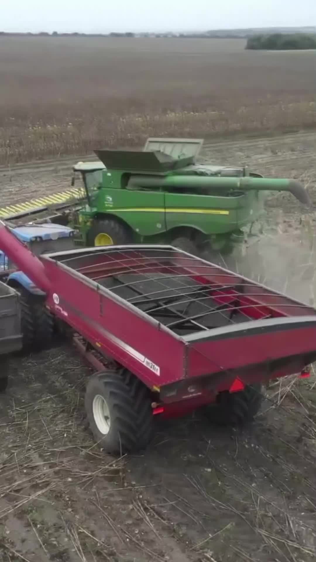 @🇺🇦🌾Agriculture🌾🇺🇦
