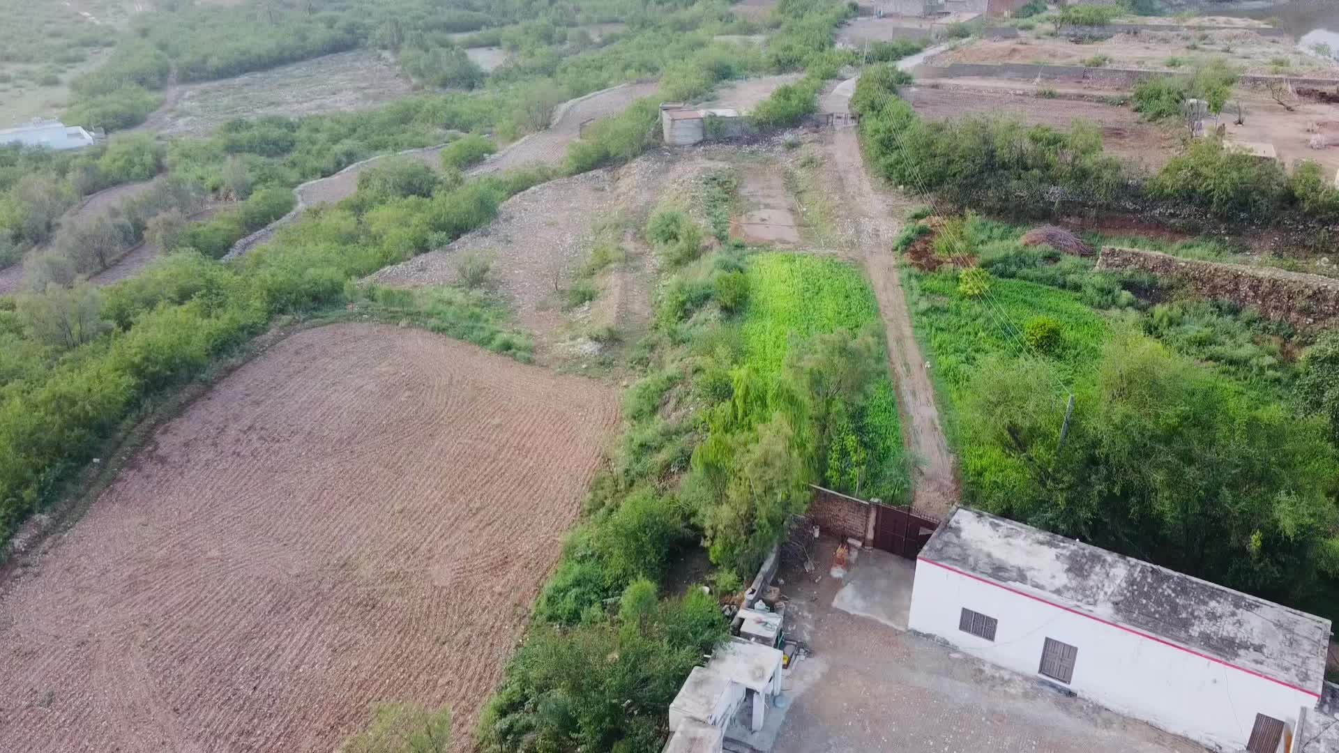 @peerzadaumair566