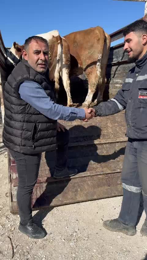 @Deniz G&uuml;ner