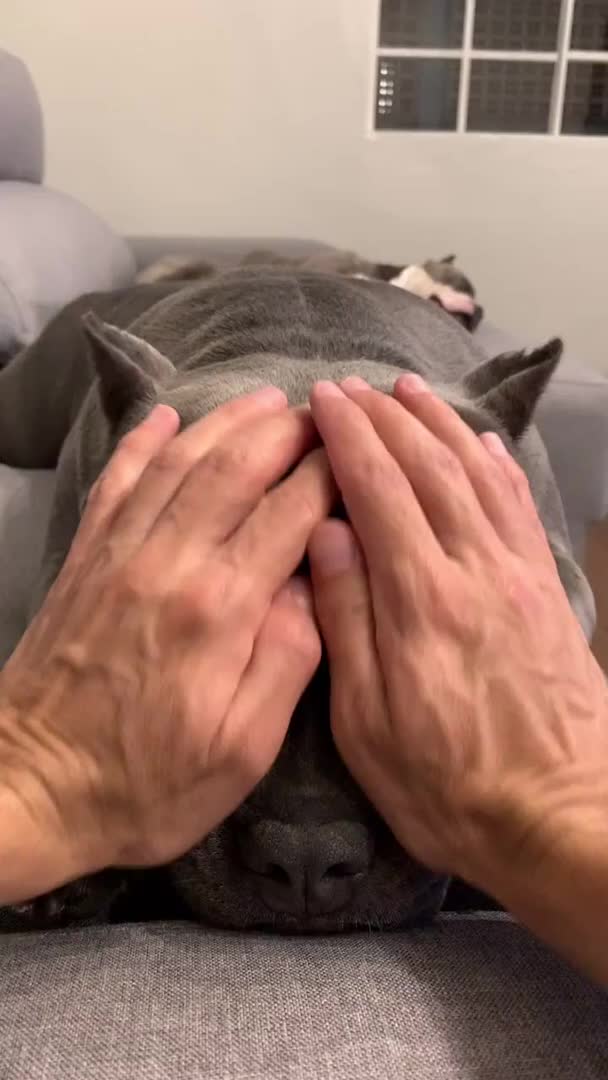 @uxifnfsiyyn