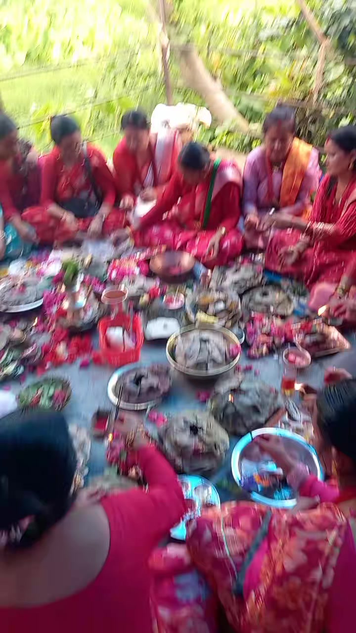 @sarmilakatwalPoudel466