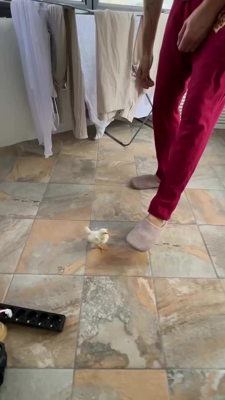 @mama_bond007