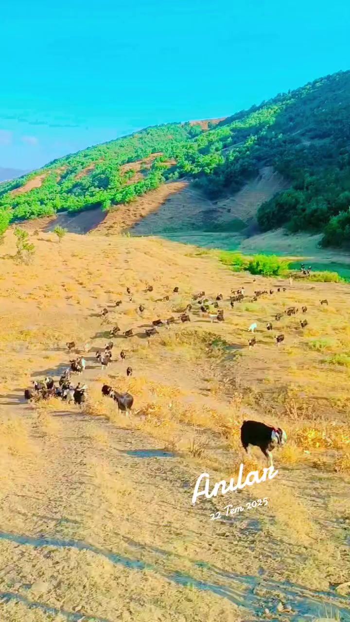 @ko&ccedil;er.12