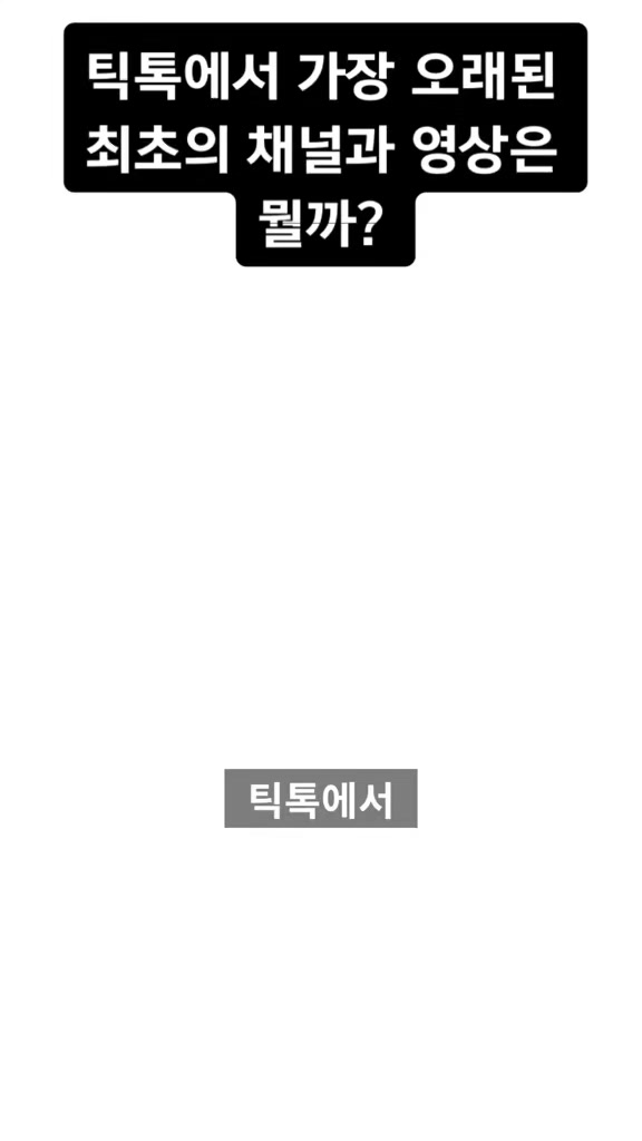 @틱톡맨