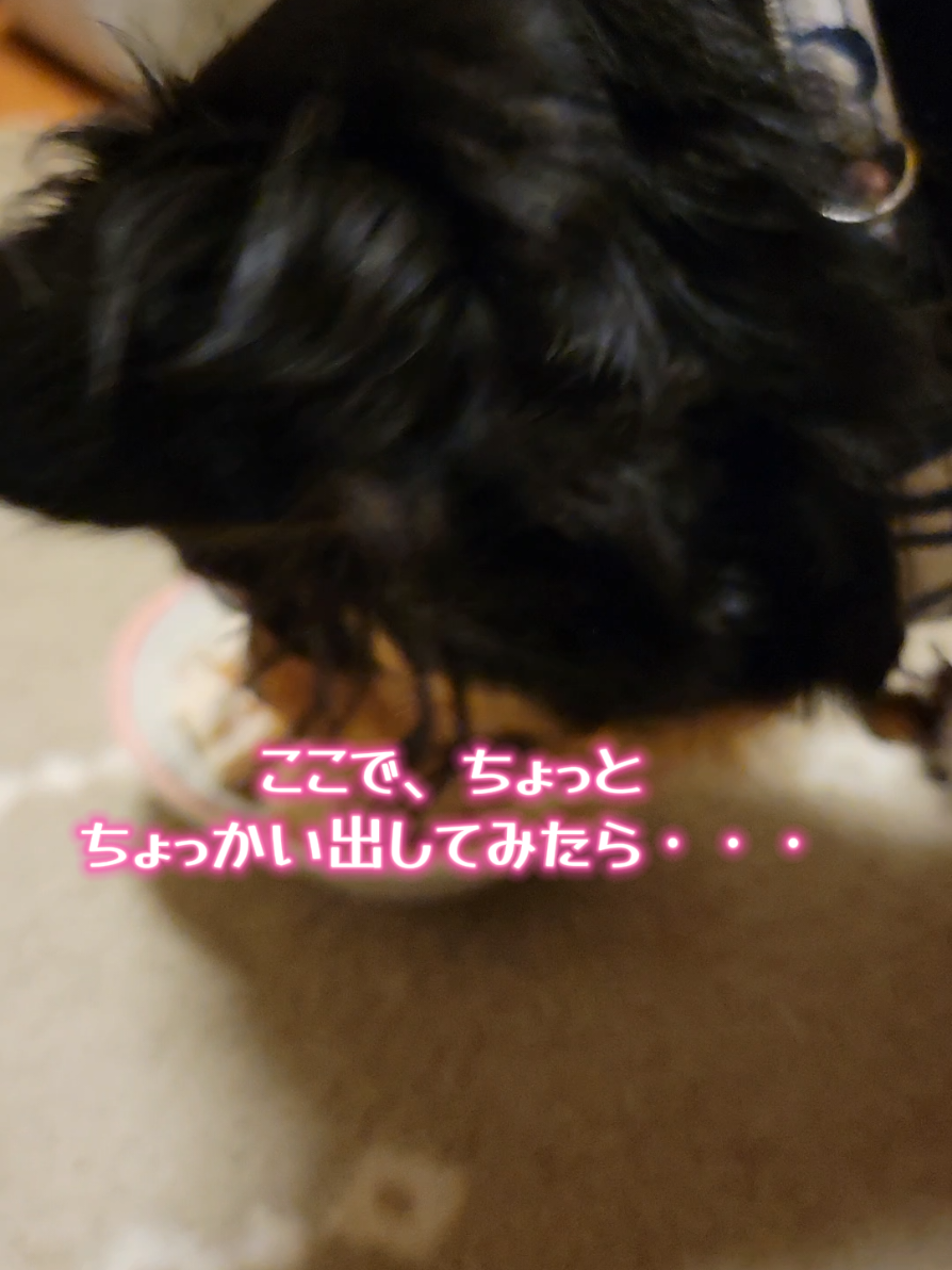 @くぅ♂︎成長日記♡