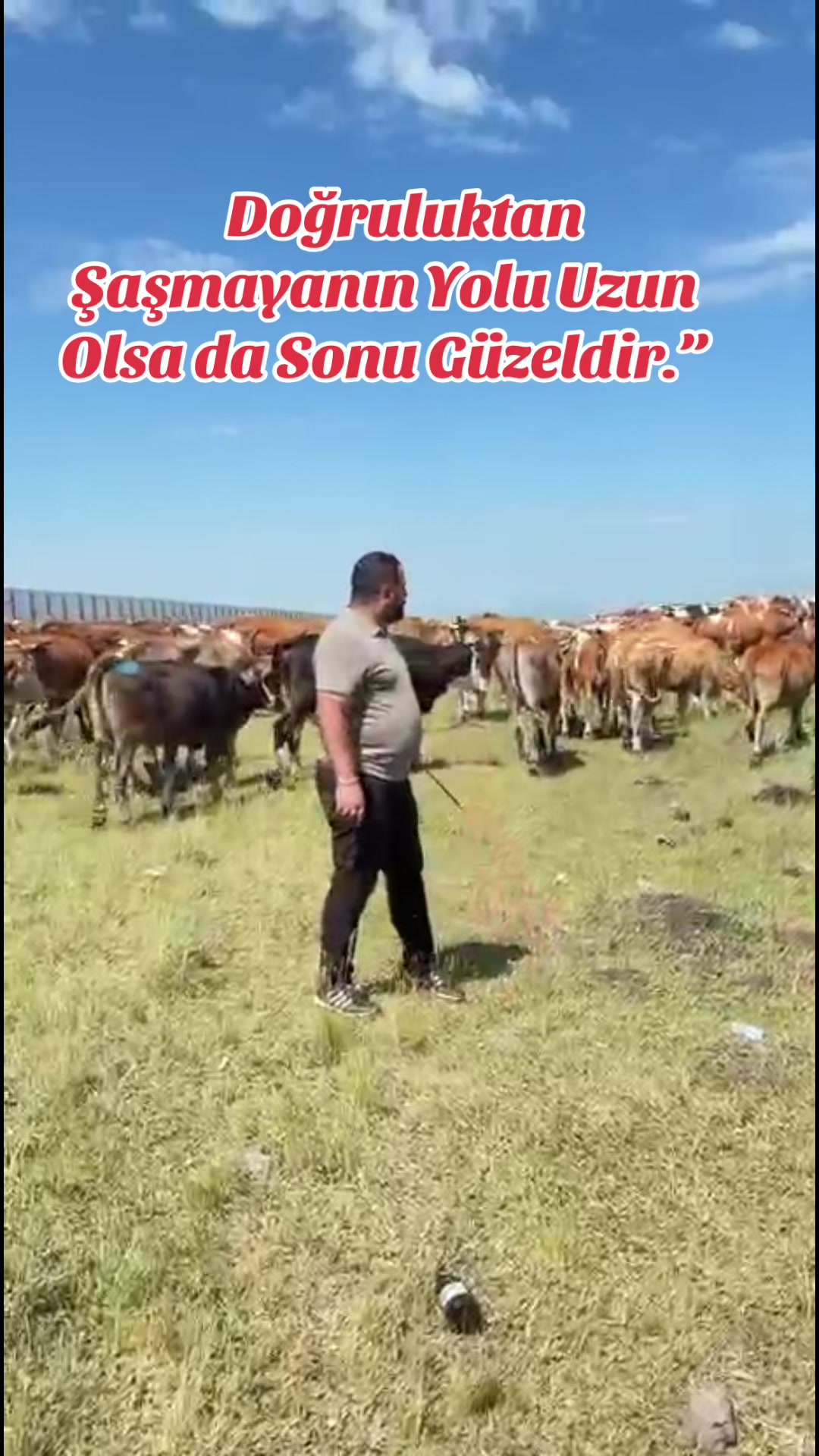 @👑KARSDOĞUBESİCİLİK05536304236