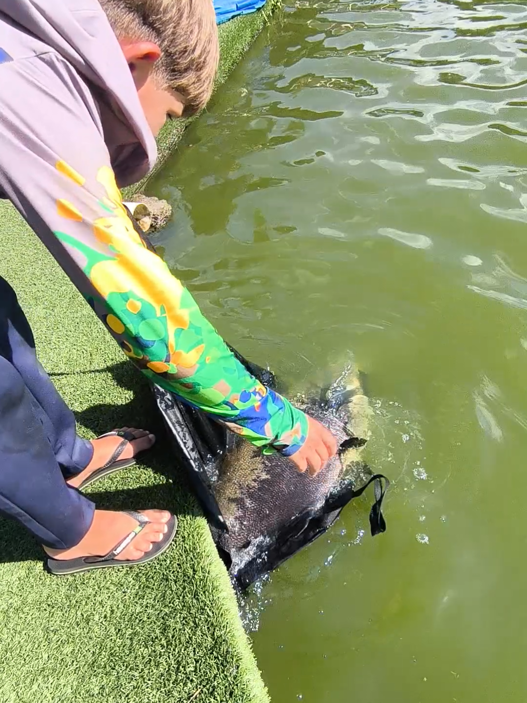 @Patrão da Pesca