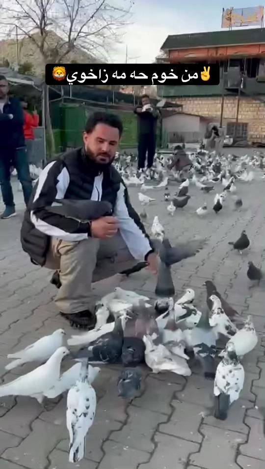 @✈️تاقانه ي زاخو🫡