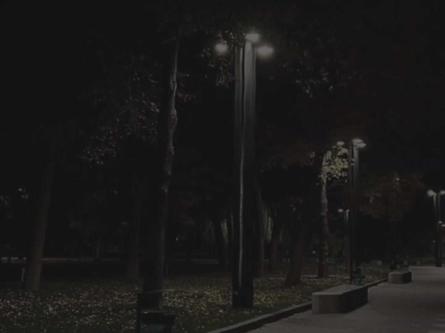 @𝐑𝐢𝐚𝐧_𝐥𝐲𝐫𝐢𝐜𝐬.