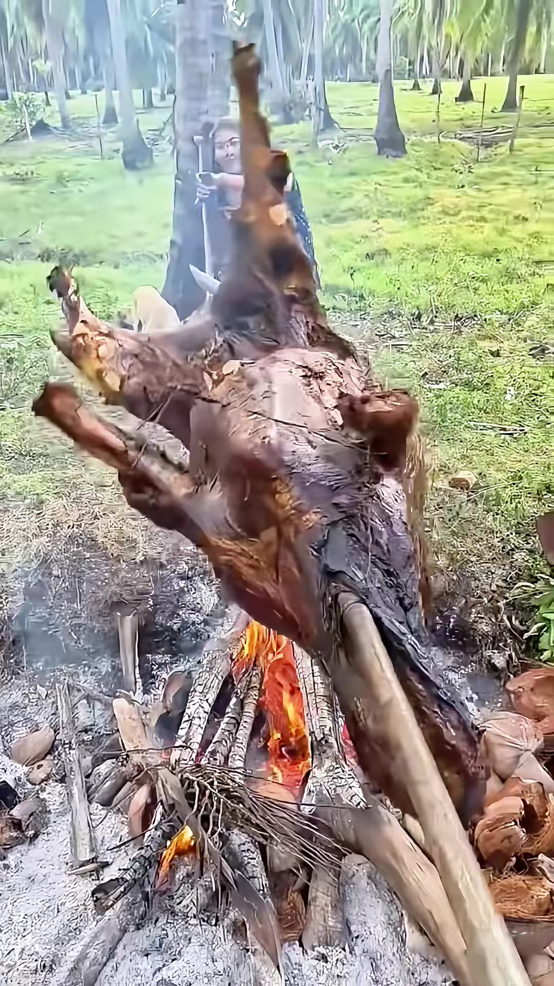 @H0a3