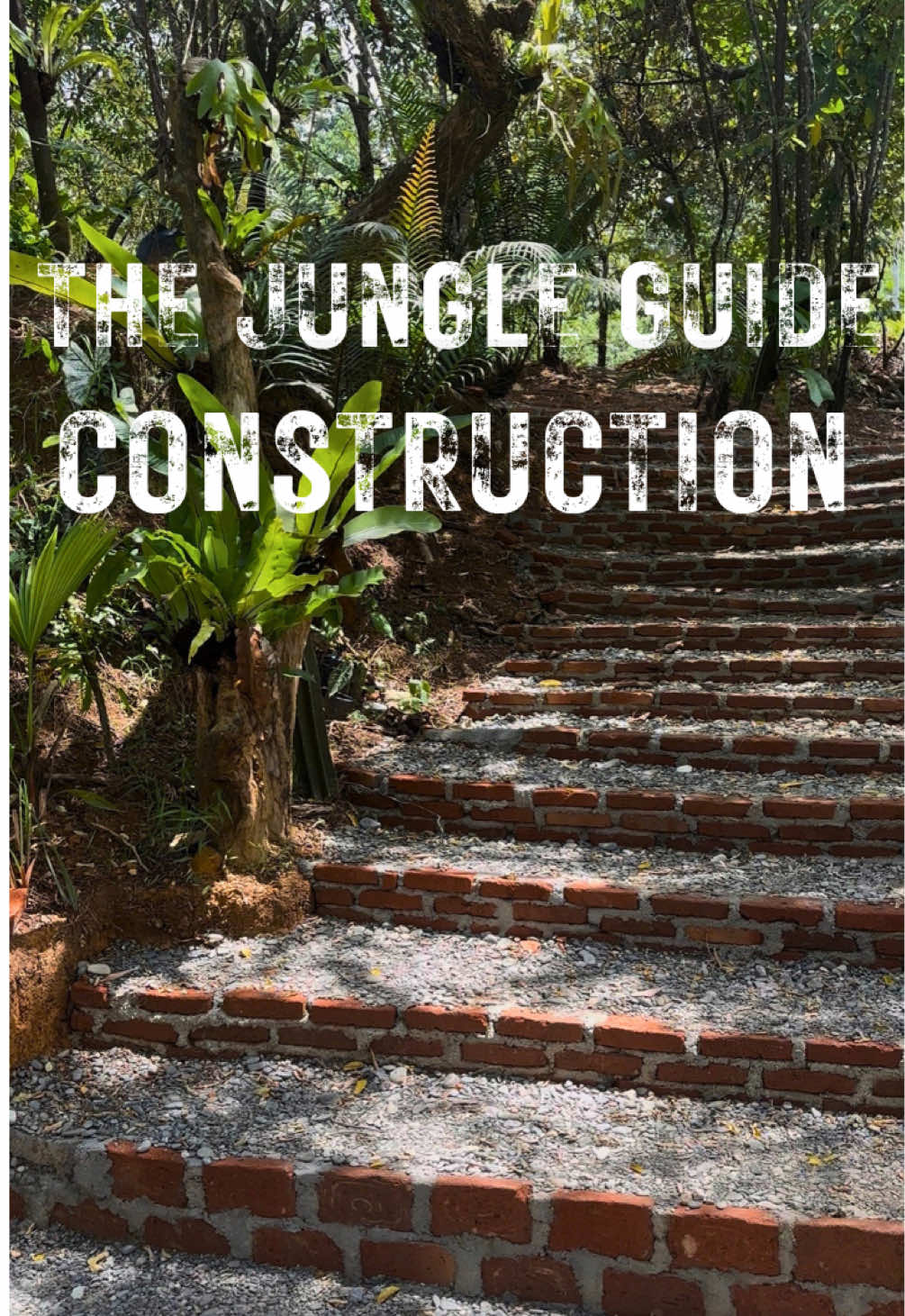 @The Jungle Guide