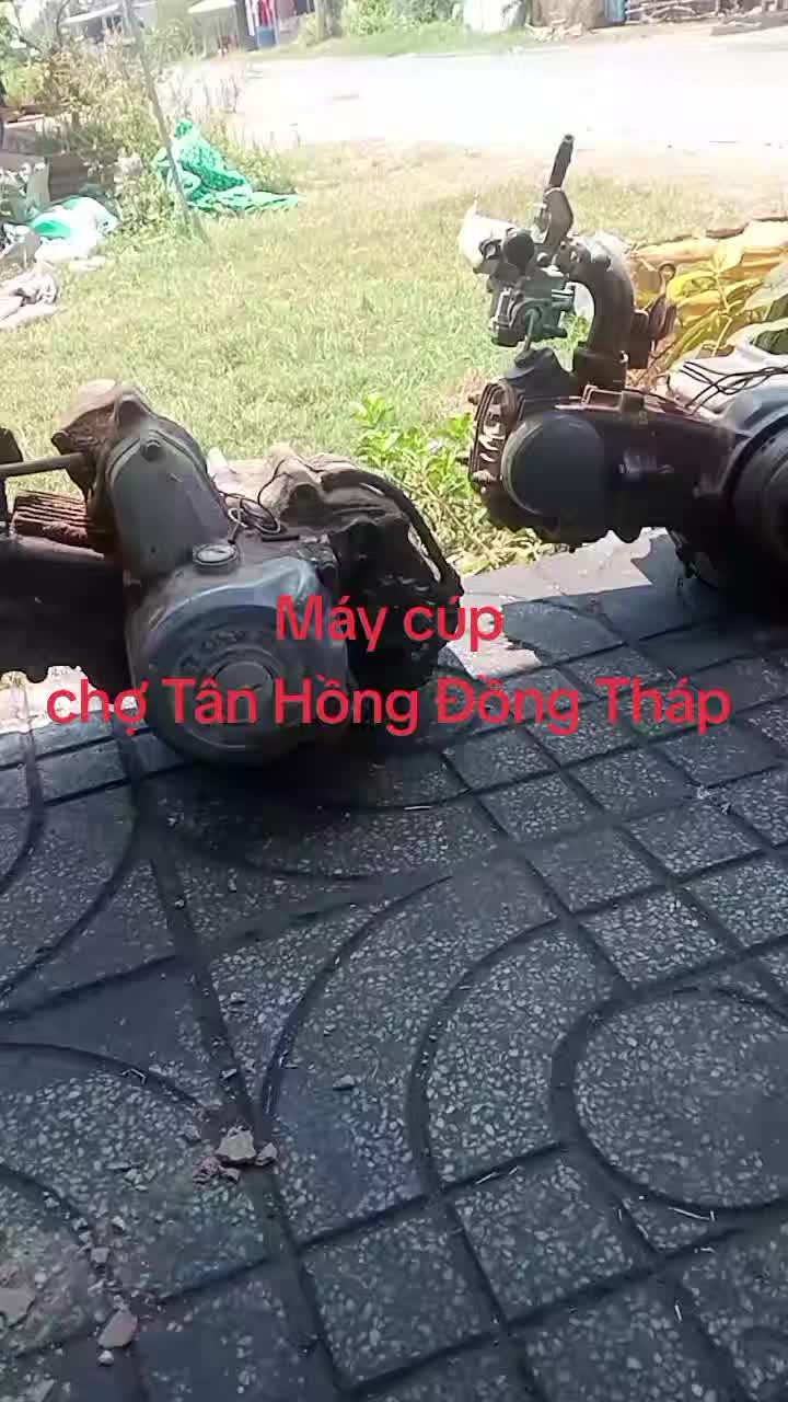 @CKP