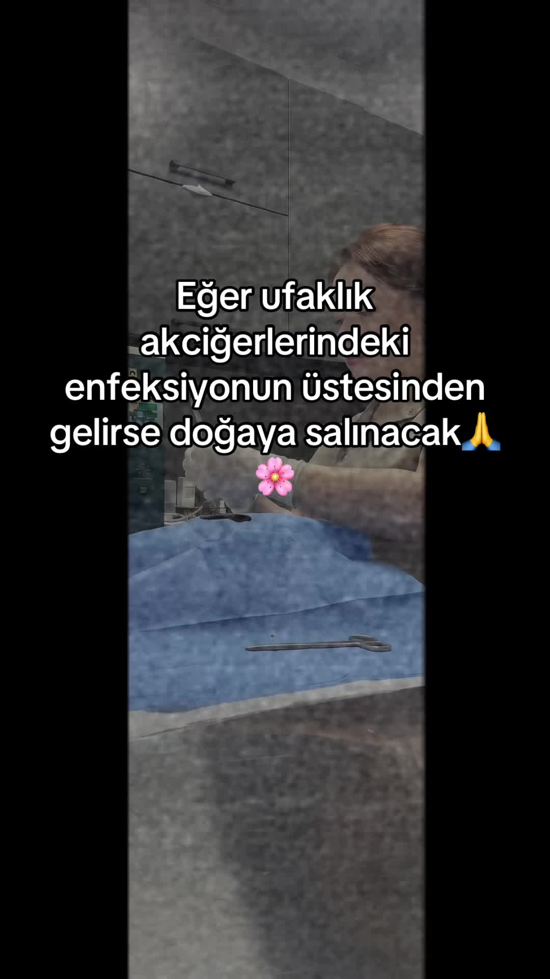 @vet.Behide