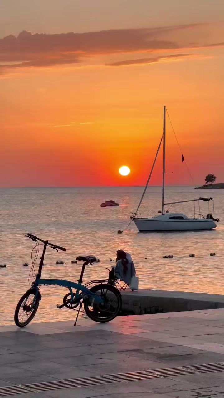 @🕊️Anyalove❤️