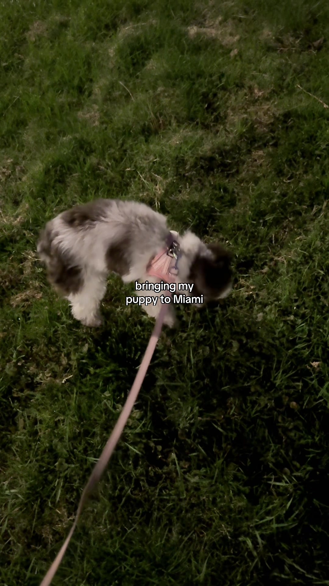 @Sarah