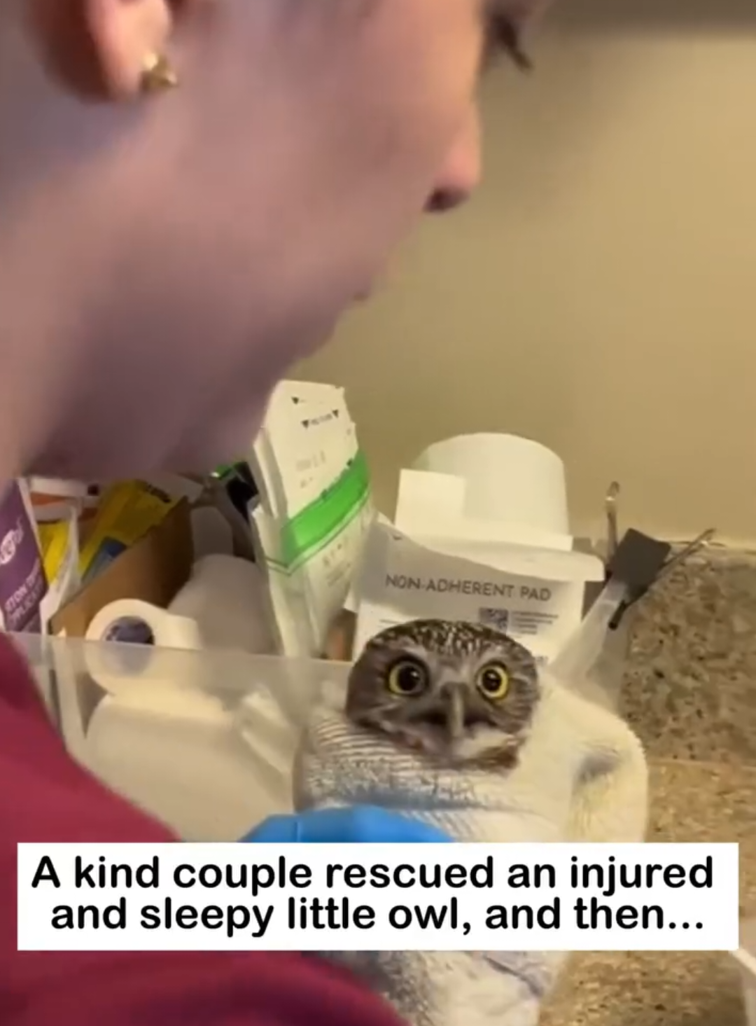 @animalsquad