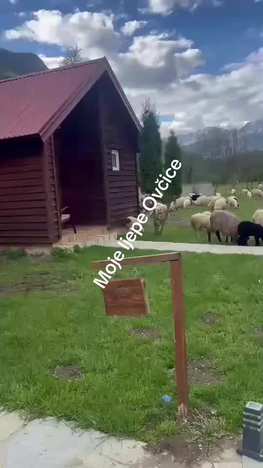 @skorpija66