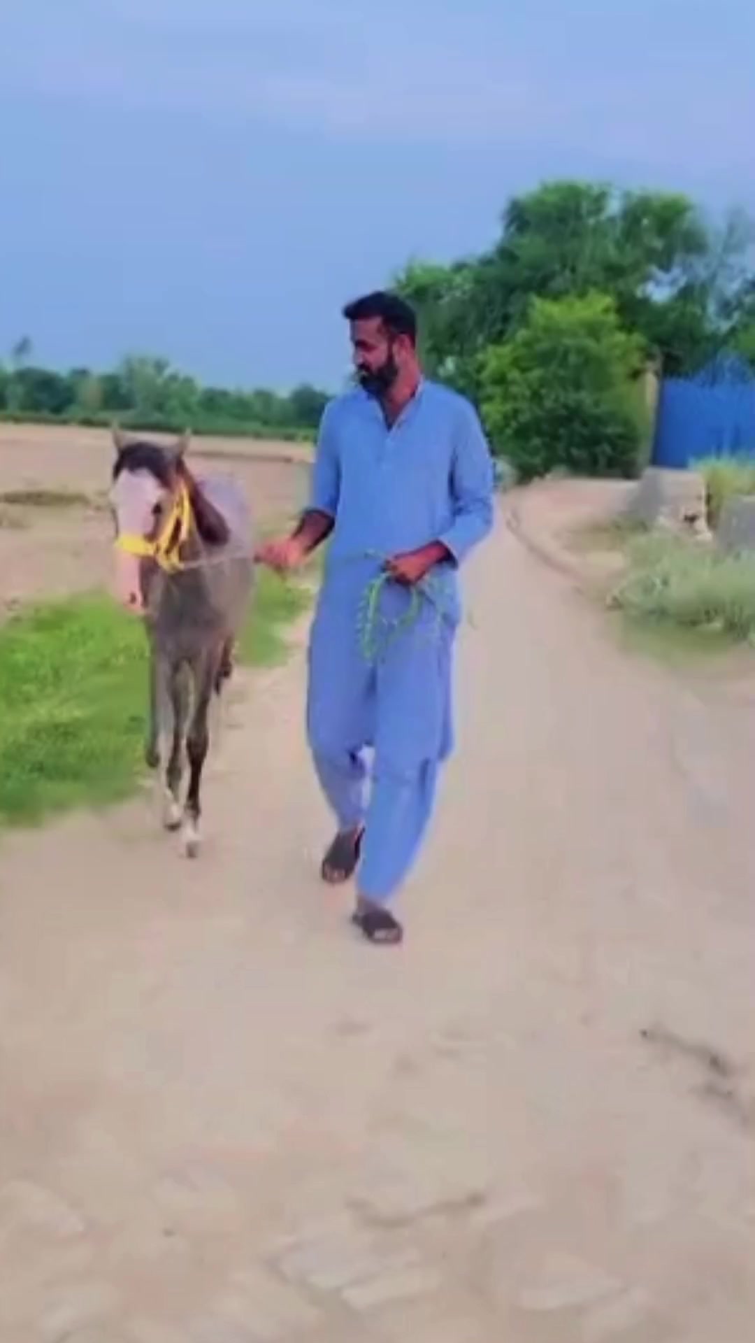 @Muzzamel