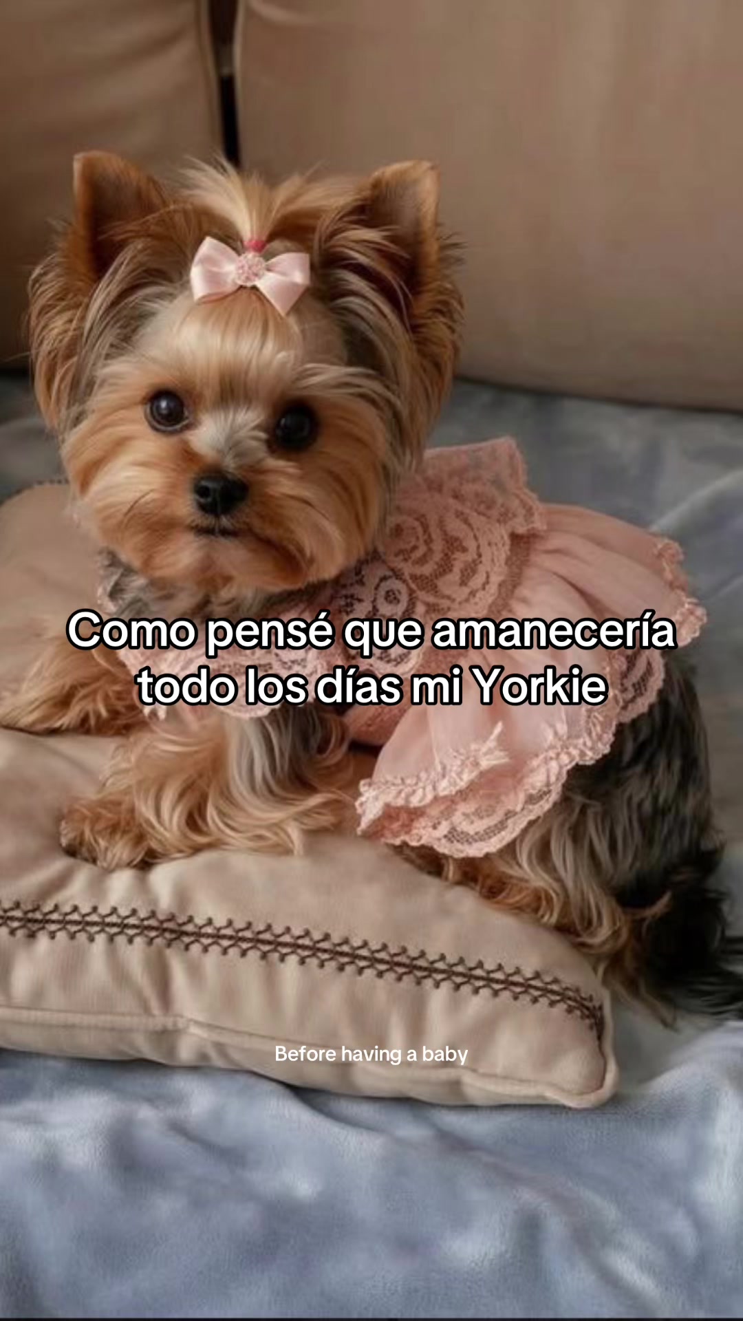 @Tania Valles