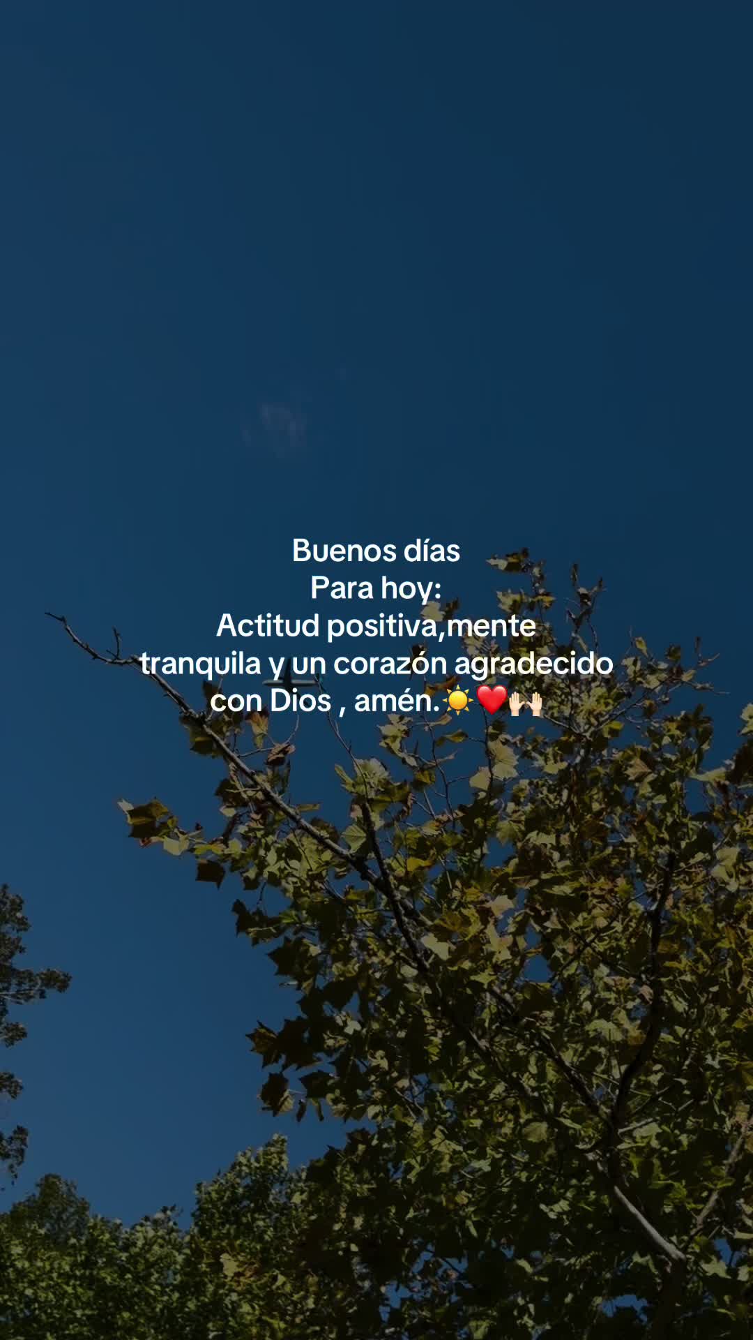 @Melany🎀