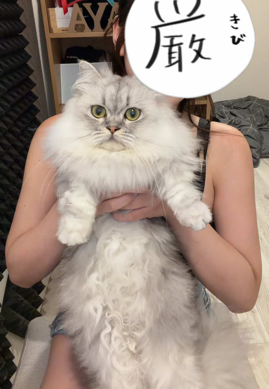 @ç¥æ¥œããð±ðº