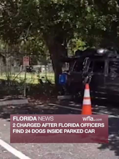@WFLA News Channel 8