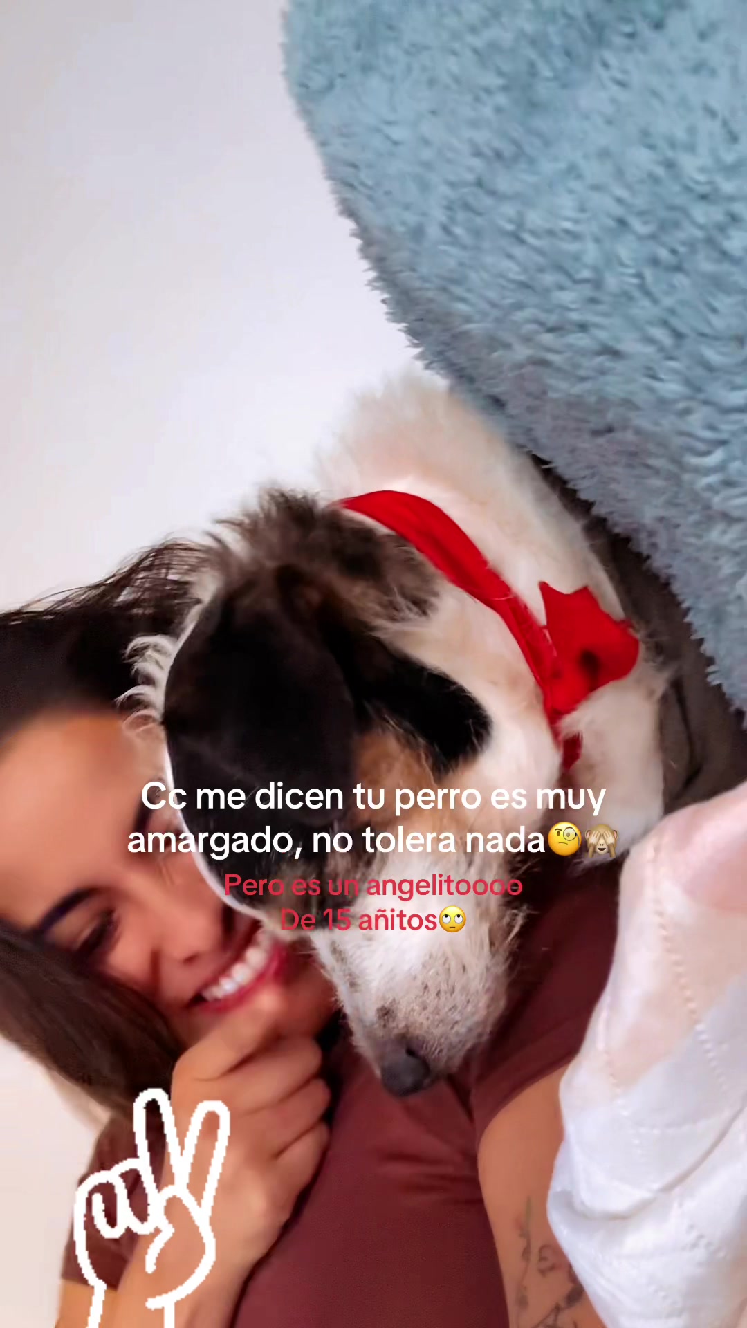 @Yorjean 🌸