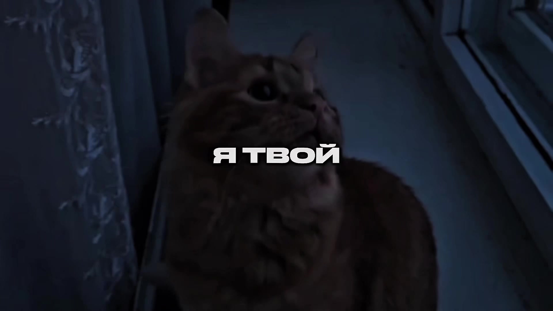 @треки для плей-листа