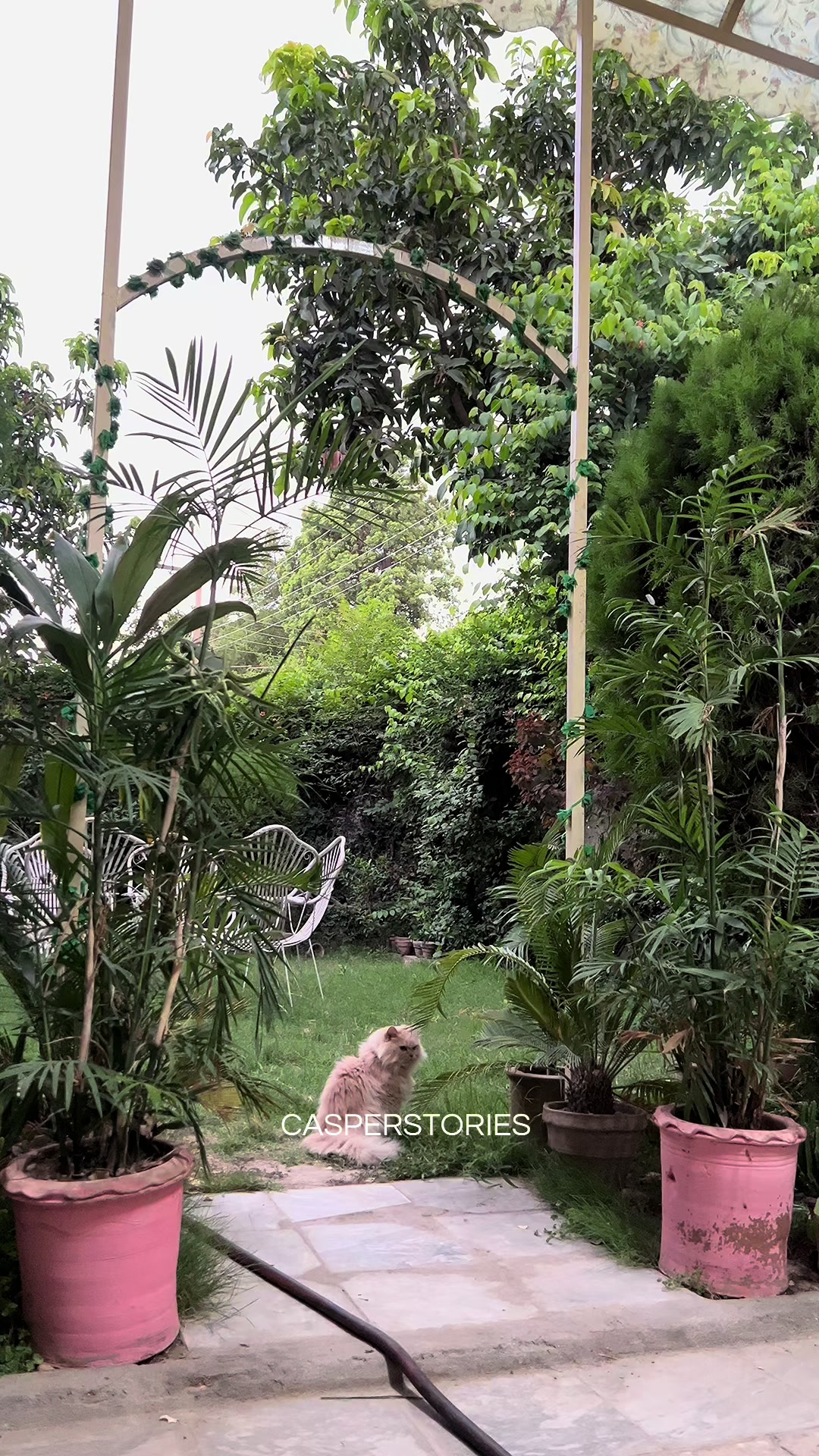 @𝑪𝒂𝒔𝒑𝒆𝒓 & 𝑴𝒊𝒏𝒏𝒊𝒆 🐾