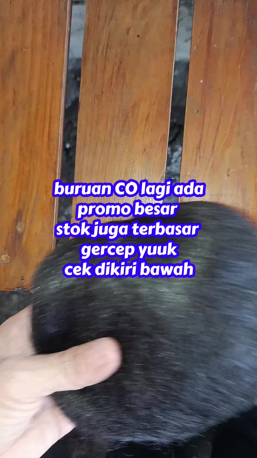 @MawarIndah
