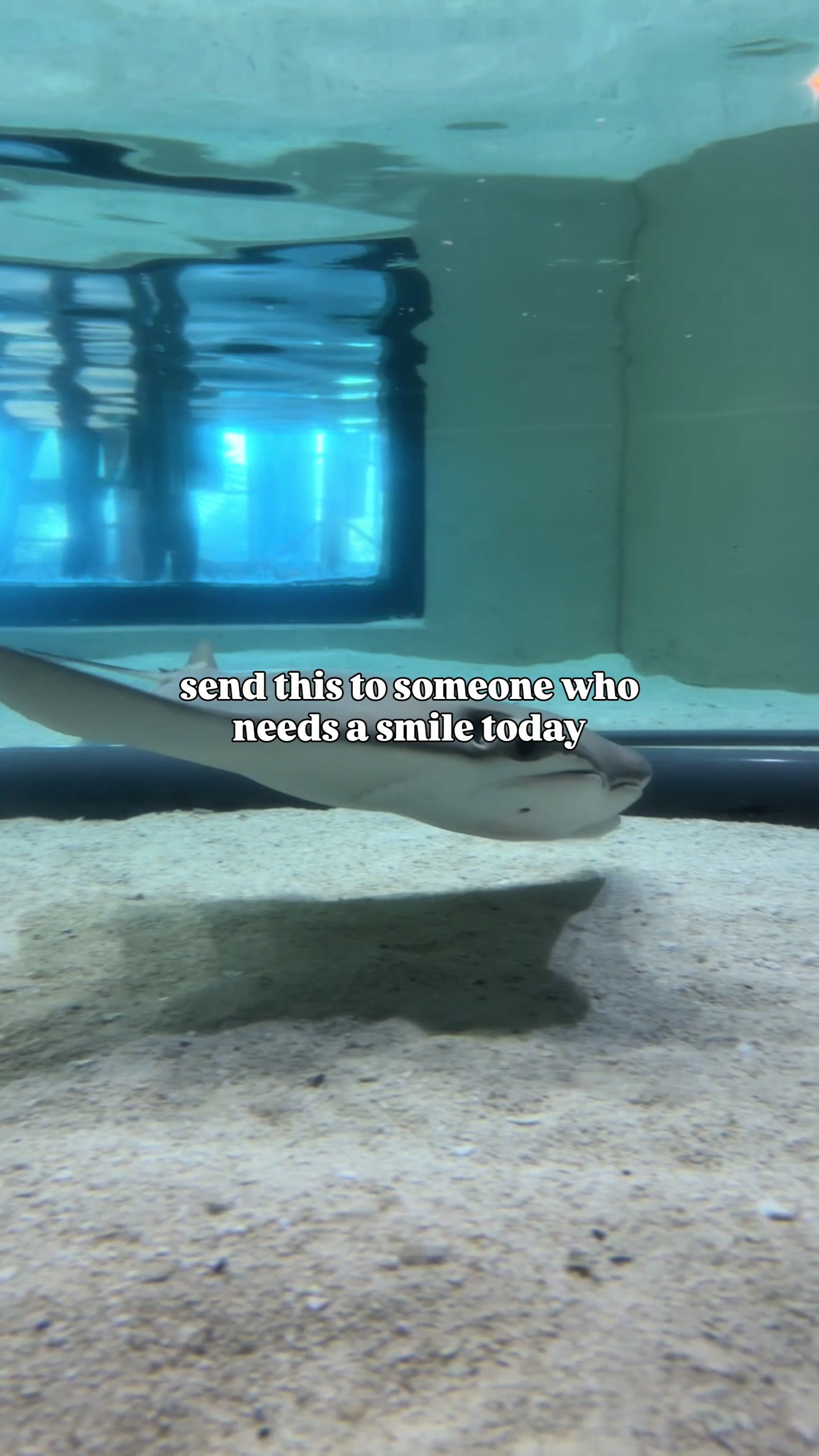 @The Florida Aquarium