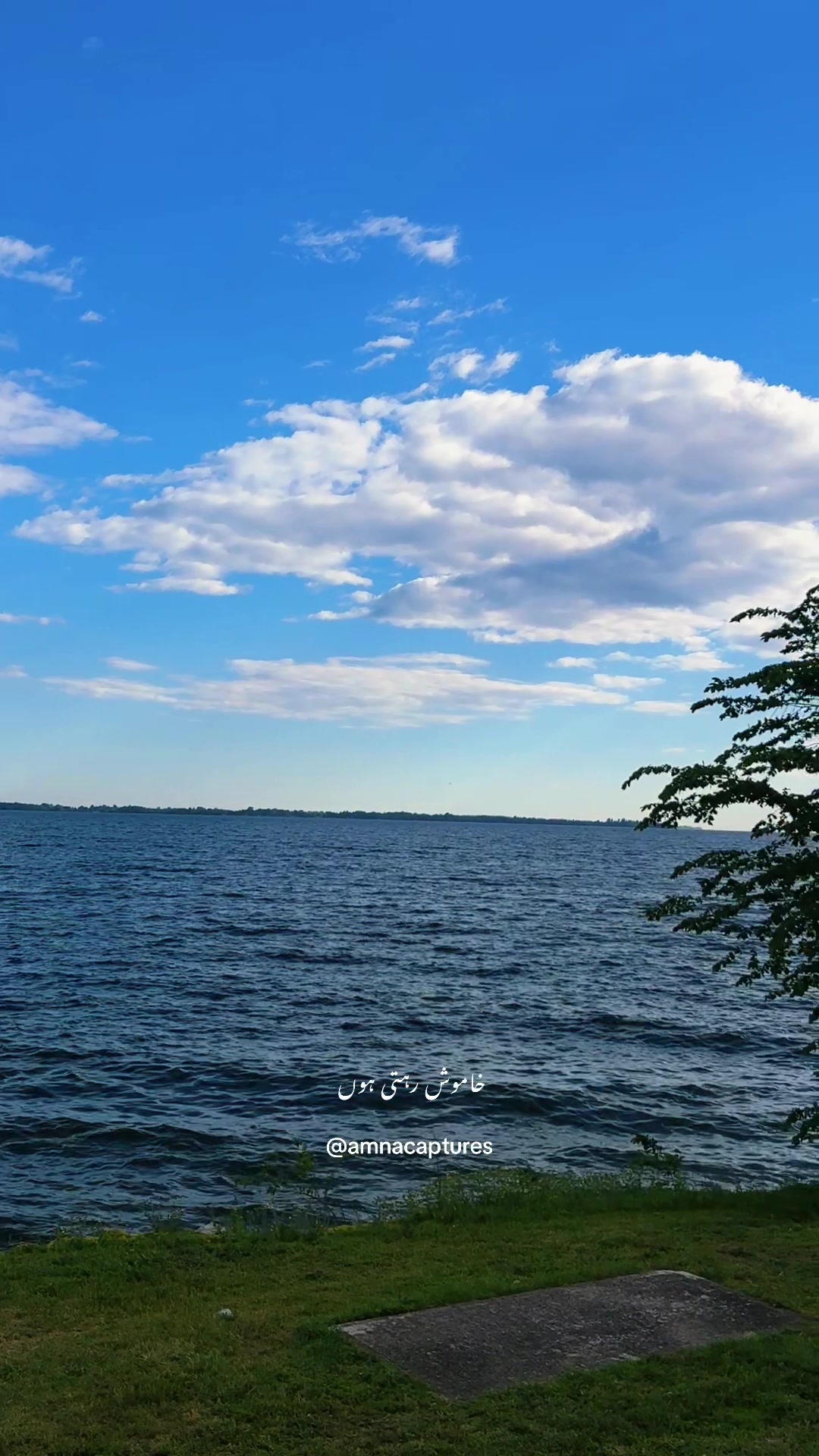 @Nature lover  🇨🇦