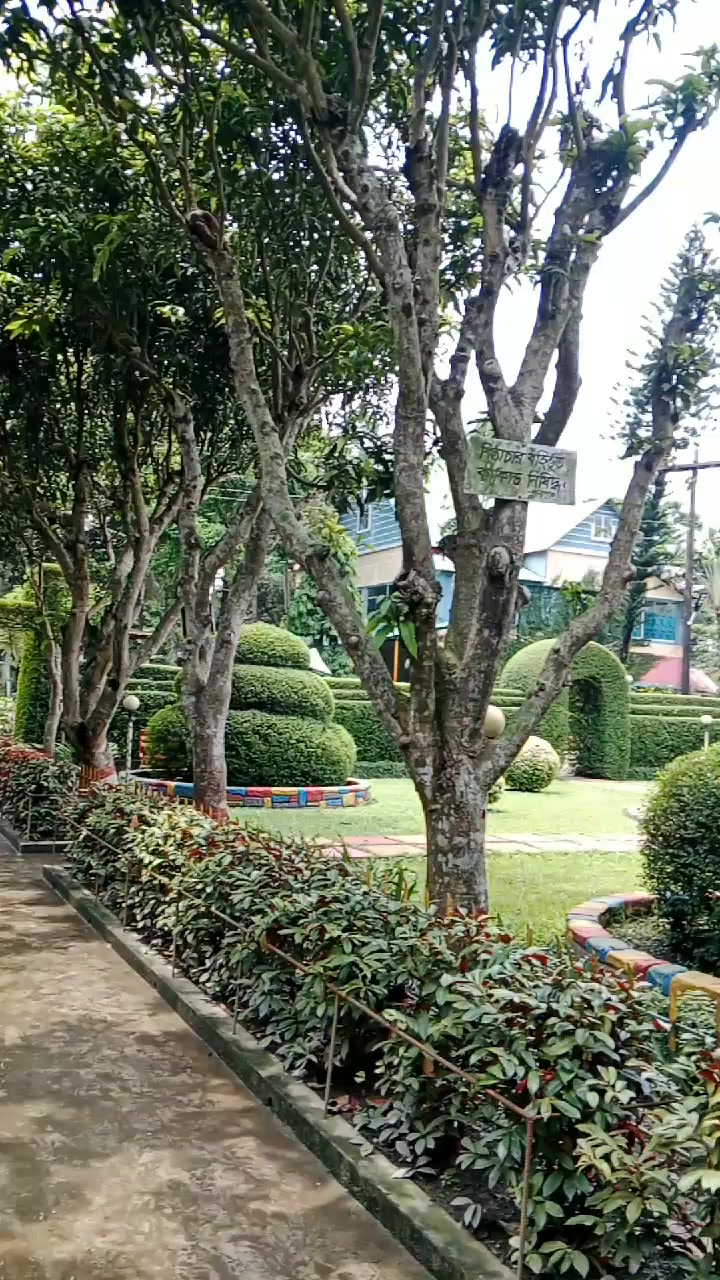 @user41657230738