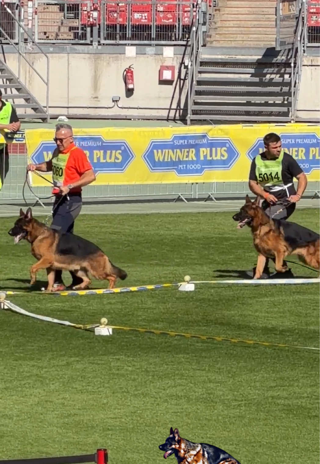 @Von_Palmore_Hof