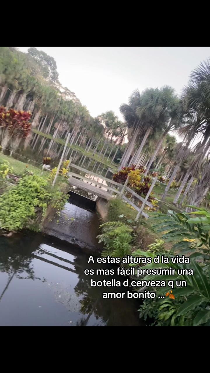 @Deysi ventura 🌹👑