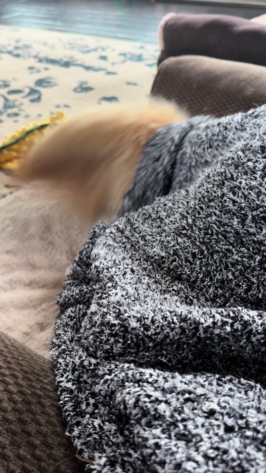 @ᴍᴜʀʀᴀʏ & ᴍᴀꜱɪᴇ ɢᴏʟᴅᴇɴ ꜰᴀᴄᴇꜱ